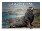 Galapagos Fur Seal - Unisex classic tee - Image 2