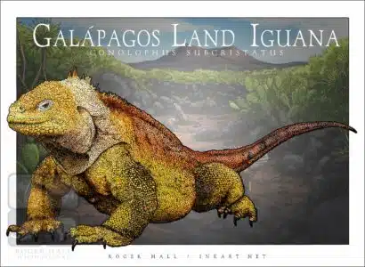 Galapagos Land Iguana - Unisex classic tee - Image 2