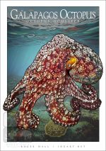 Galapagos Octopus - Unisex classic tee - Image 2