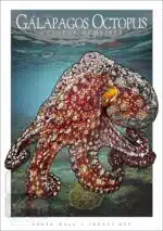 Galapagos Octopus - Unisex classic tee - Image 2