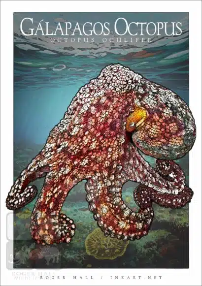 Galapagos Octopus - Unisex classic tee - Image 2