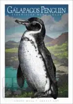 Galapagos Penguin - Unisex classic tee - Image 2