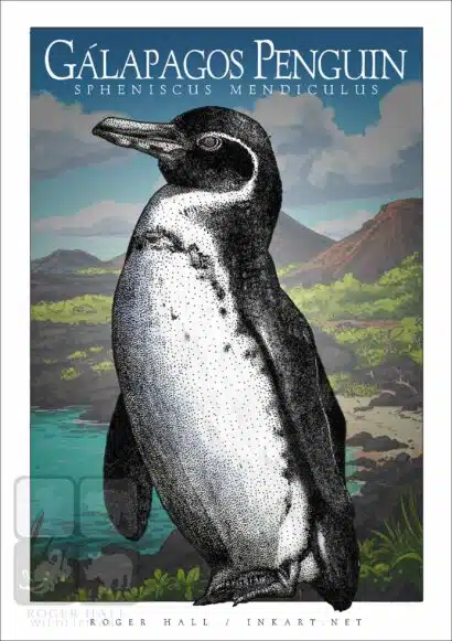 Galapagos Penguin - Unisex classic tee - Image 2