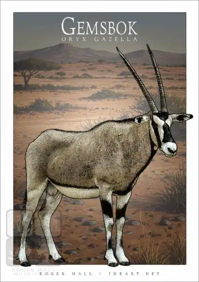 Gemsbok - Unisex classic tee - Image 2