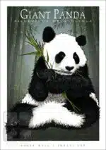 Giant Panda - Unisex classic tee - Image 2