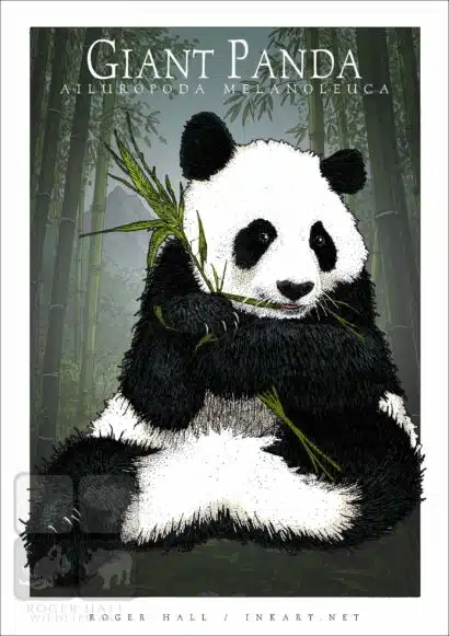 Giant Panda - Unisex classic tee - Image 2