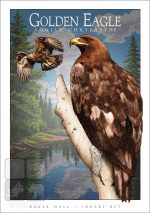 Golden Eagle - Unisex classic tee - Image 2