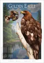 Golden Eagle - Unisex classic tee - Image 2