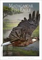 Madagascar Fish Eagle - Unisex classic tee - Image 2