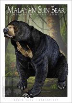 Malayan Sun Bear - Unisex classic tee - Image 2