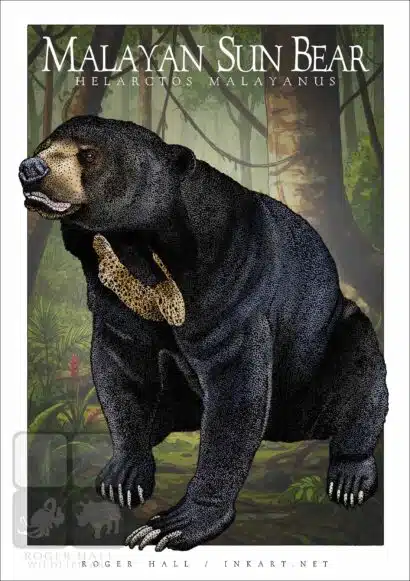 Malayan Sun Bear - Unisex classic tee - Image 2