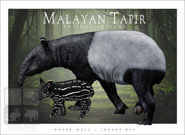 Malayan Tapir - Unisex classic tee - Image 2