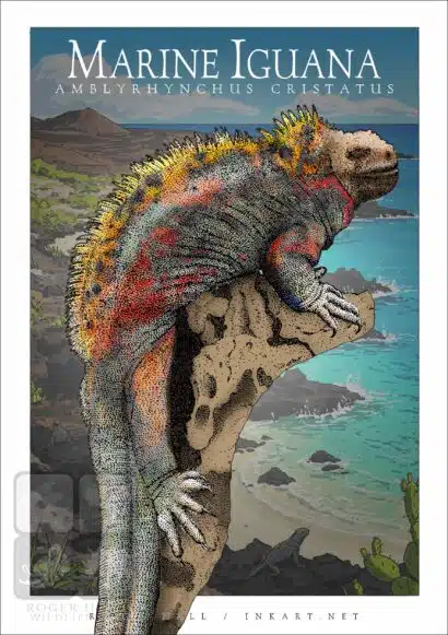 Marine Iguana - Unisex classic tee - Image 2