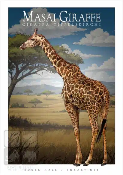 Masai Giraffe - Unisex classic tee - Image 2