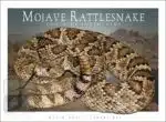 Mojave Rattlesnake - Unisex classic tee - Image 2