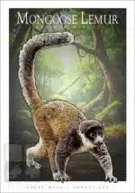 Mongoose Lemur - Unisex classic tee - Image 2