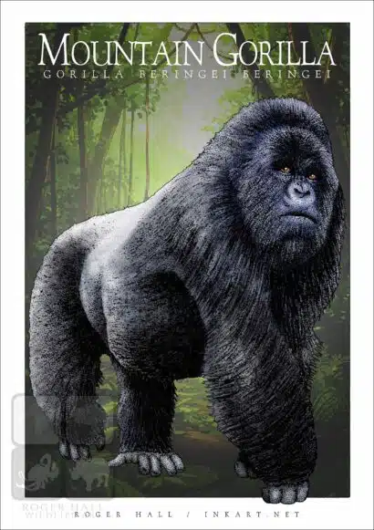 Mountain Gorilla - Unisex classic tee - Image 2