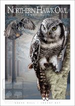 Northern Hawk-Owl - Unisex classic tee - Image 2