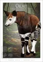 Okapi - Unisex classic tee - Image 2