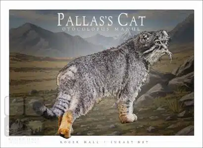 Pallas's Cat - Unisex classic tee - Image 2