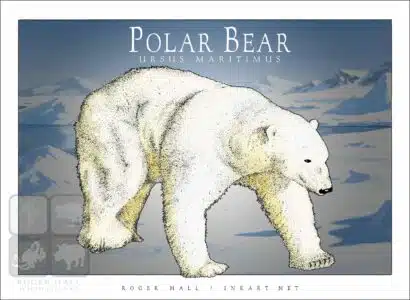 Polar Bear - Unisex classic tee - Image 2