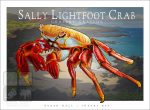 Sally Lightfoot Crab - Unisex classic tee - Image 2