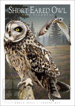Short-Eared Owl - Unisex classic tee - Image 2