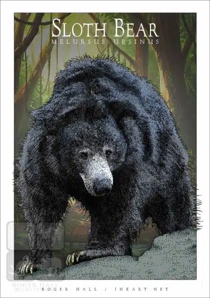Sloth Bear - Unisex classic tee - Image 2