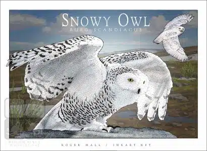 Snowy Owl - Unisex classic tee - Image 2