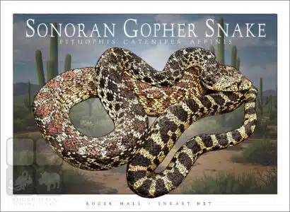Sonoran Gopher Snake - Unisex classic tee - Image 2