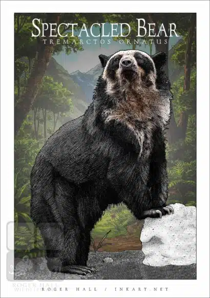 Spectacled Bear - Unisex classic tee - Image 2