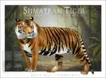 Sumatran Tiger - Unisex classic tee - Image 2