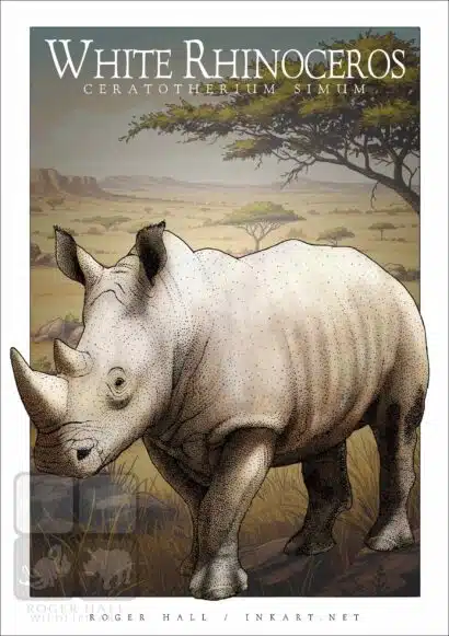 White Rhinoceros - Unisex classic tee - Image 2