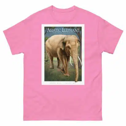 Asiatic Elephant - Unisex classic tee - Image 8