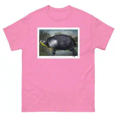 Blanding's Turtle - Unisex classic tee - Image 8