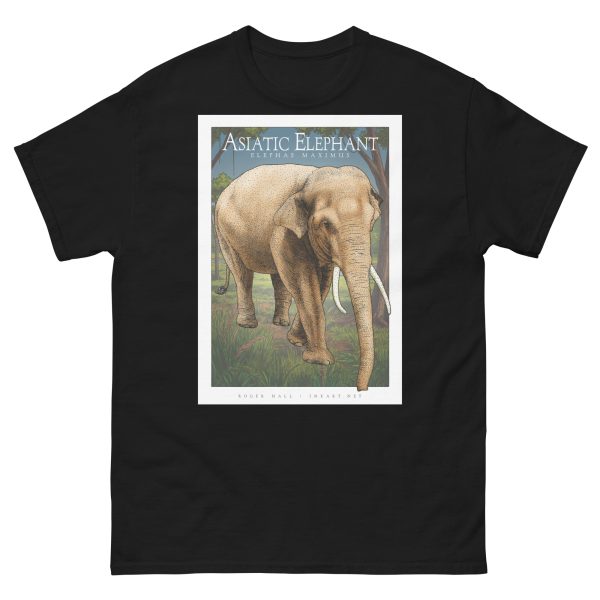 Asiatic Elephant - Unisex classic tee - Image 3