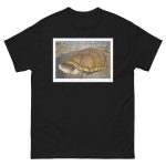 Arizona Mud Turtle - Unisex classic tee - Image 3