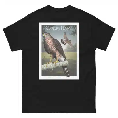 Cooper's Hawk - Unisex classic tee - Image 3