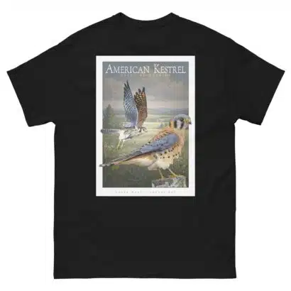 American Kestrel - Unisex classic tee - Image 3