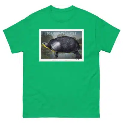 Blanding's Turtle - Unisex classic tee - Image 7