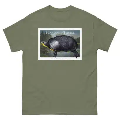 Blanding's Turtle - Unisex classic tee - Image 6