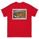 Arizona Mud Turtle - Unisex classic tee - Image 4