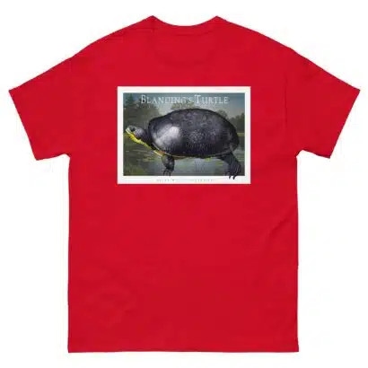 Blanding's Turtle - Unisex classic tee - Image 4