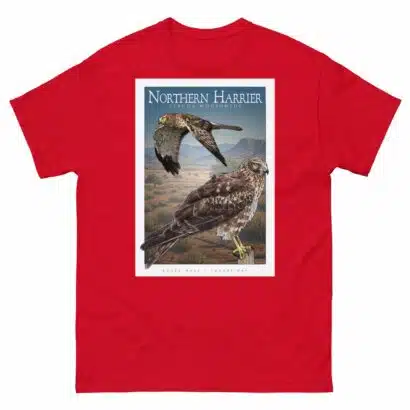 Northern Harrier - Unisex classic tee - Image 4