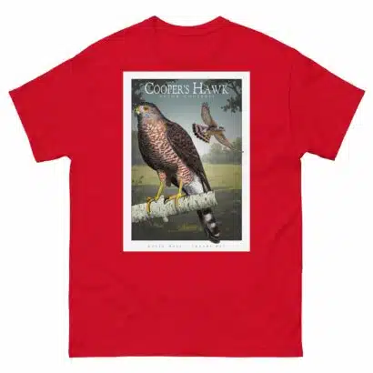 Cooper's Hawk - Unisex classic tee - Image 4