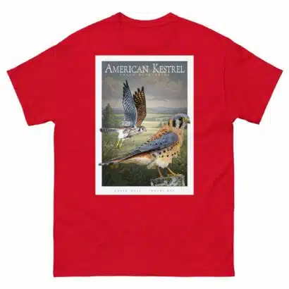 American Kestrel - Unisex classic tee - Image 4