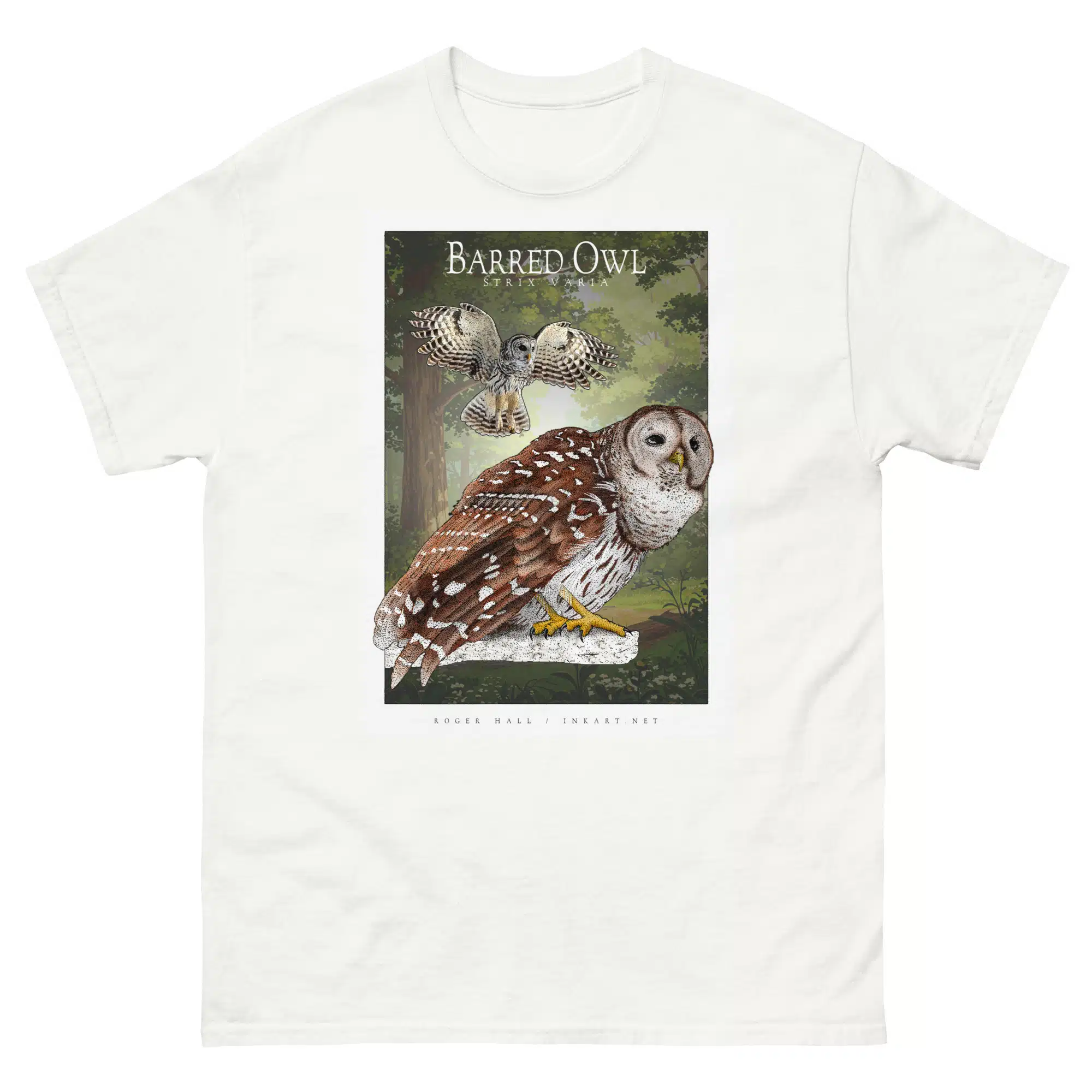 Barred Owl unisex-classic-tee Fine art illustration of a Barred Owl printed on a high-quality 100% unisex cotton t-shirt.
