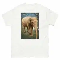 Fine art illustration of an Asiatic Elephant printed on a high-quality 100% unisex cotton t-shirt.