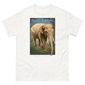 Fine art illustration of an Asiatic Elephant printed on a high-quality 100% unisex cotton t-shirt.