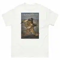 Fine art illustration of a Galapagos Hawk printed on a high-quality 100% unisex cotton t-shirt.